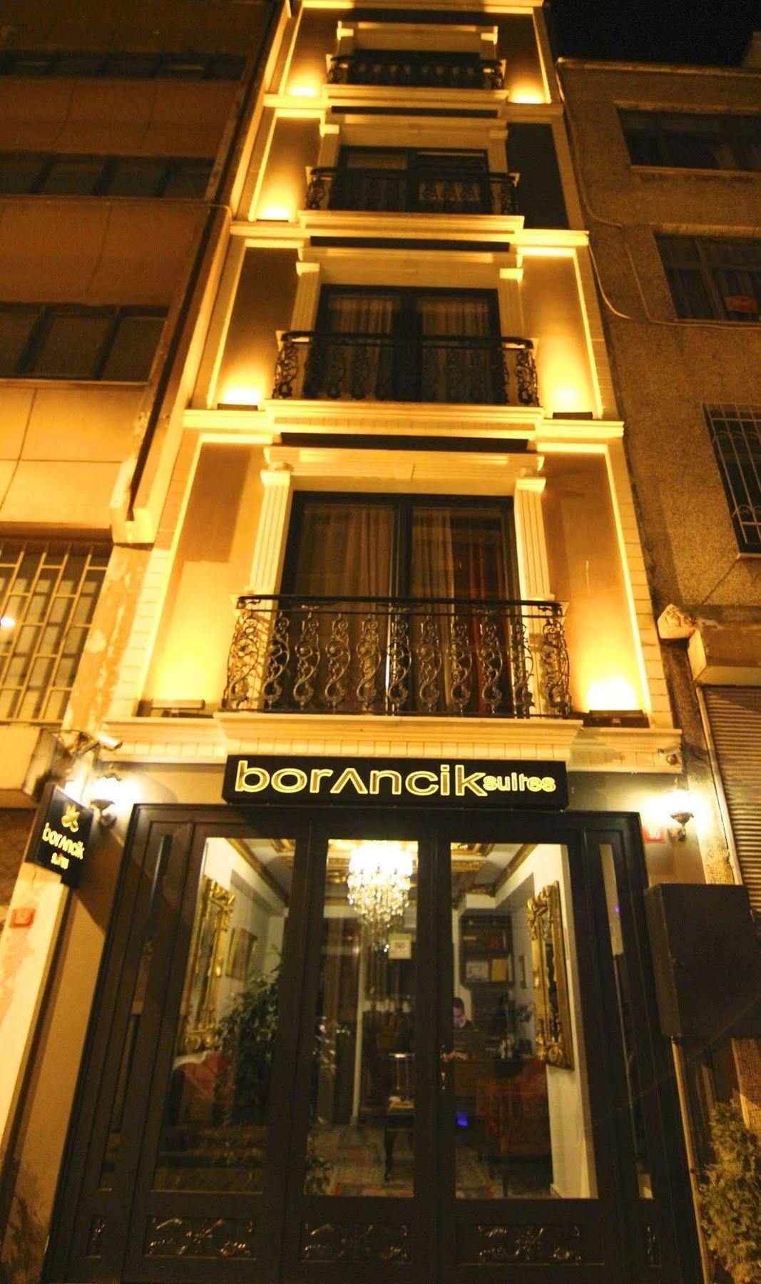 מלון Borancik